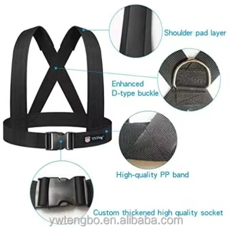Dual Resistance Latex Pull Rop - Resistance Bands review and price